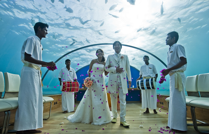 テーマは水中 魚たちに祝福される結婚式 結婚プランニングサイト ラブマリ東海版