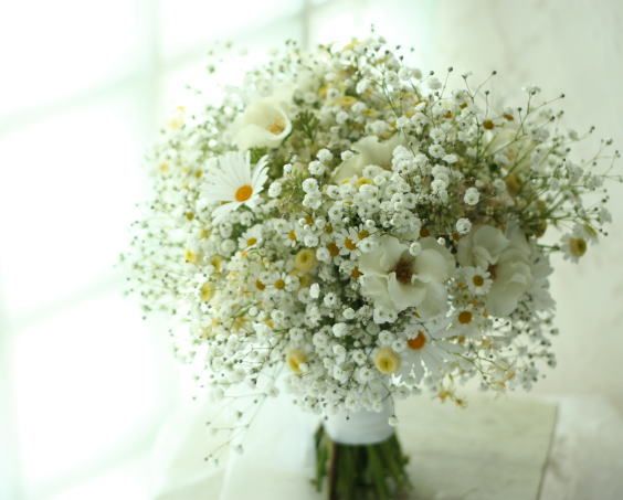 旬の花に囲まれて ブライダルにもぴったりの９月誕生花 花言葉特集 結婚プランニングサイト ラブマリ東海版